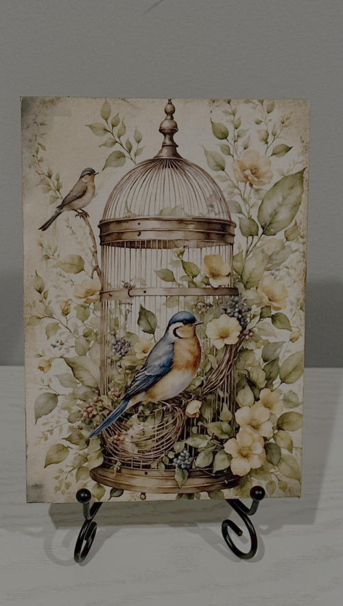 Birdcage & Bluebirds: 5"x7"