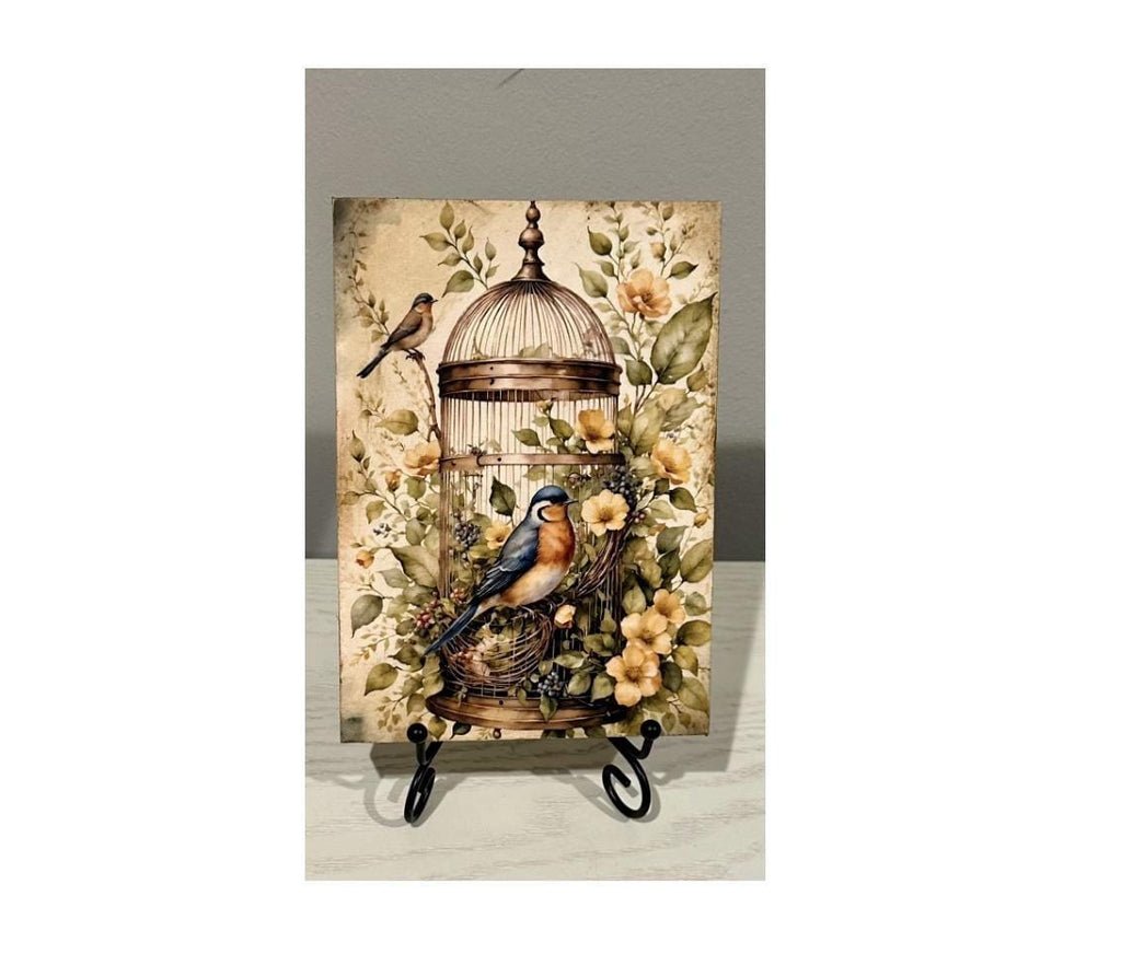Birdcage & Bluebirds: 5"x7"