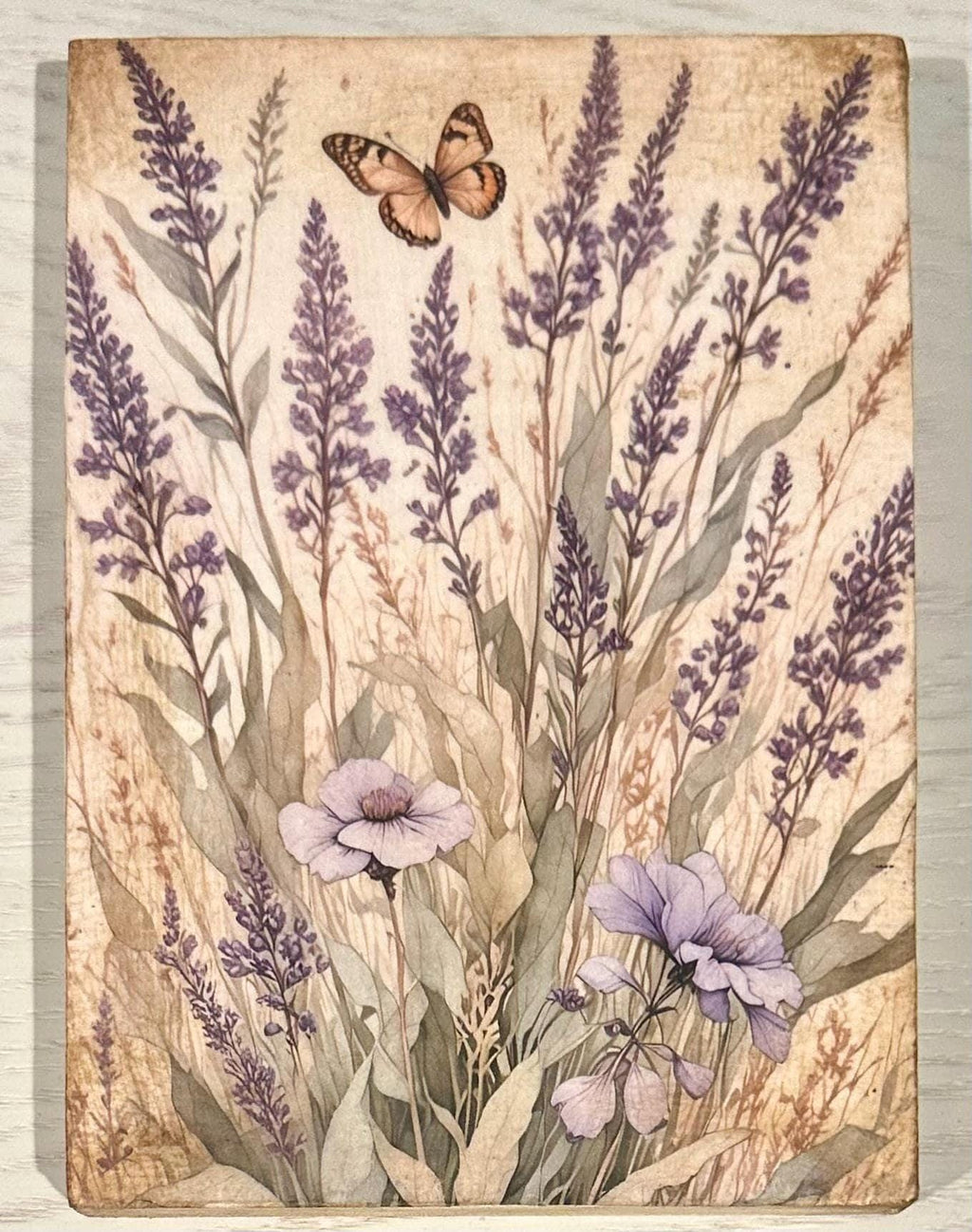 Lavender and Butterfly: 5"x7"