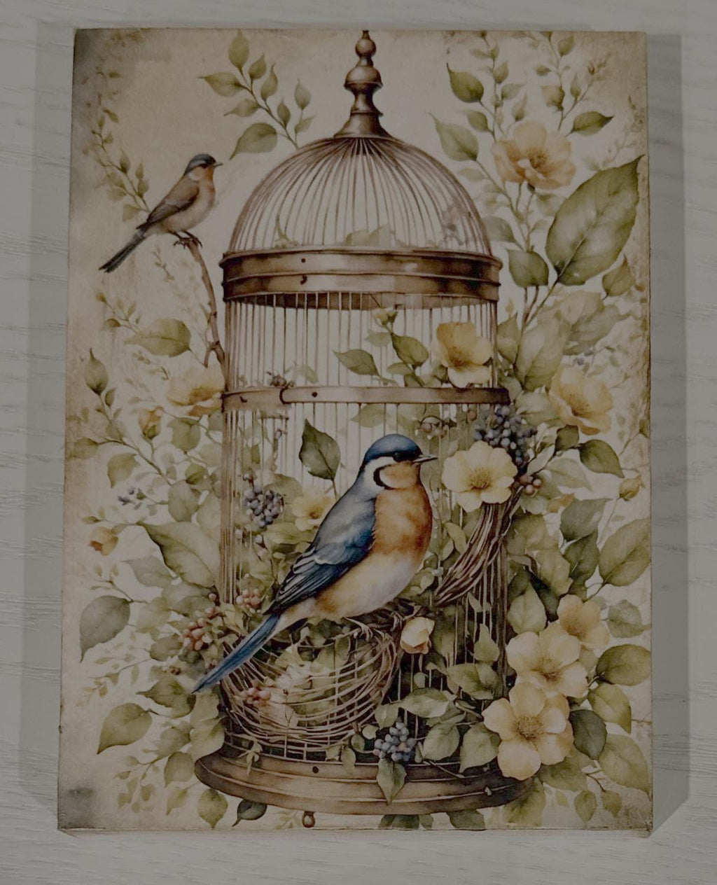 Birdcage & Bluebirds: 5"x7"
