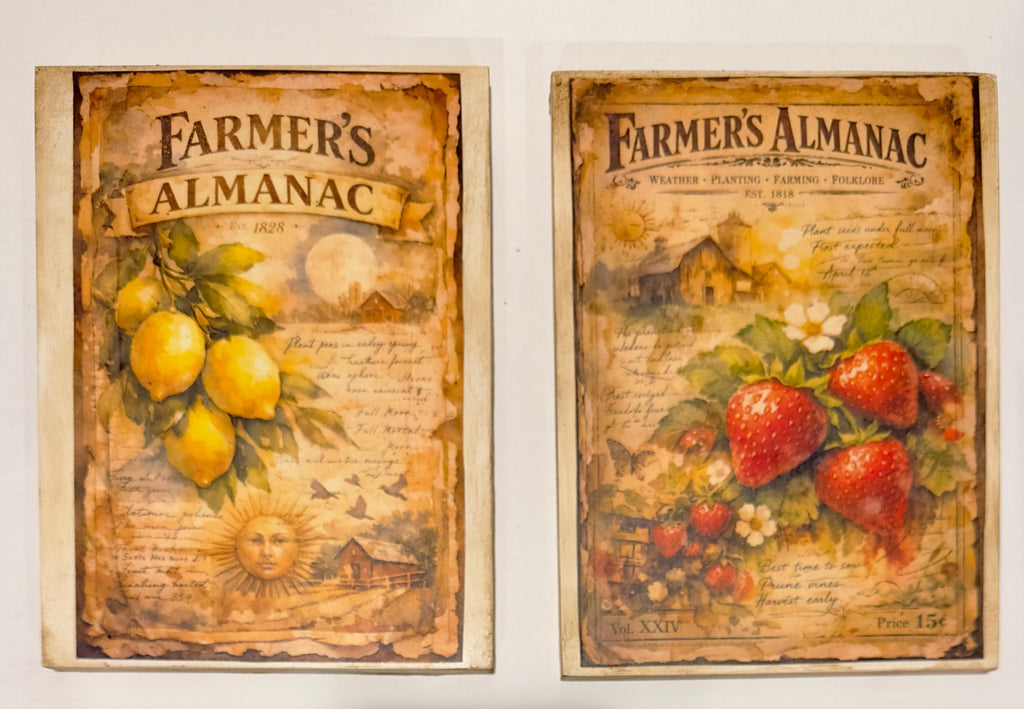 Farmhouse Fruit Wall Art | Strawberry Lemon Panels 6x8 Inch Decor by Mikela Lindel Home