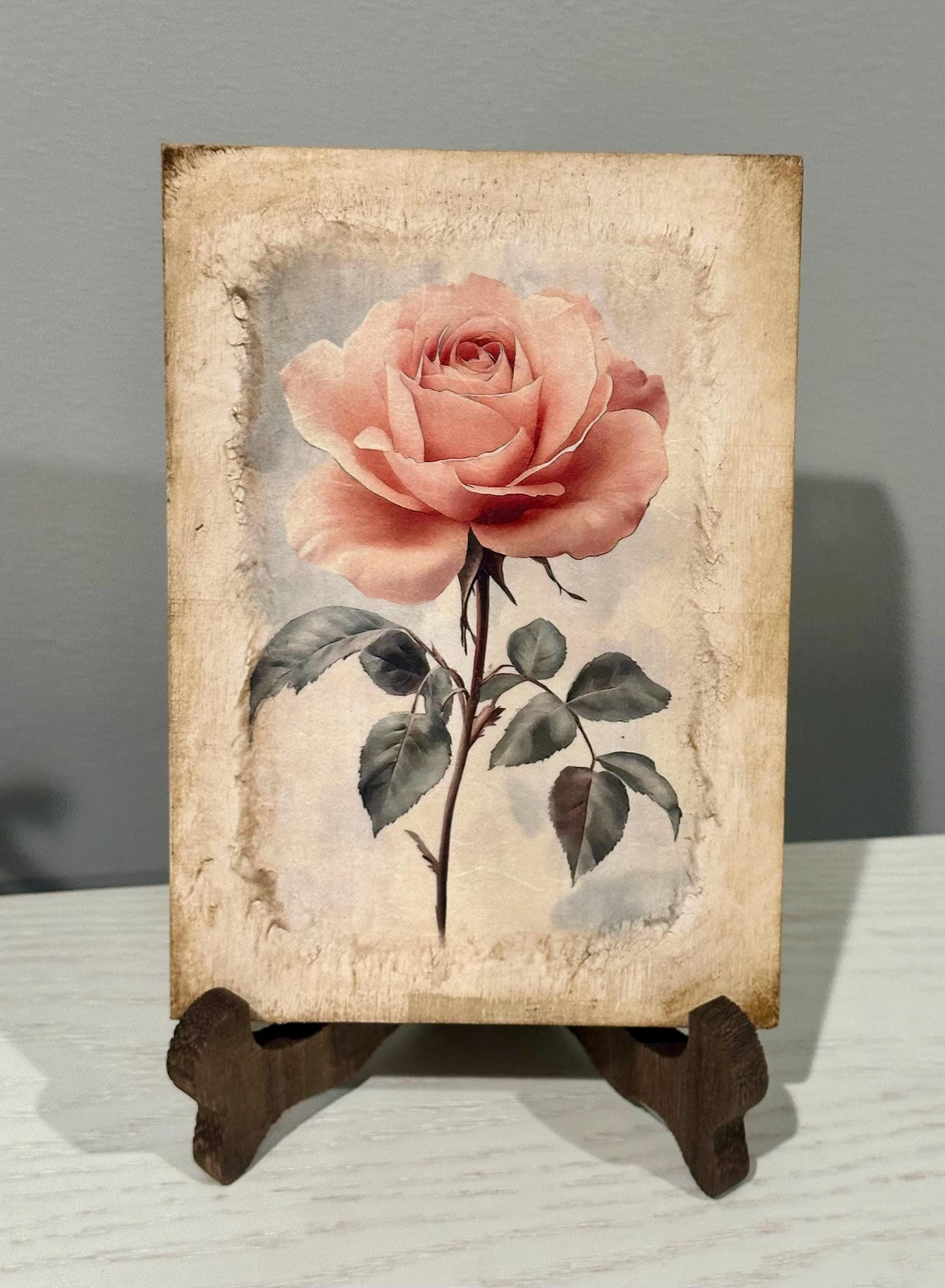 Shabby Chic Rose: 5"x7"