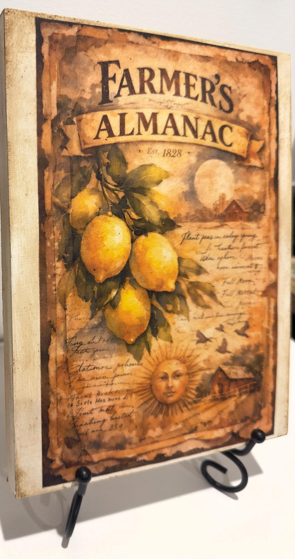 Farmhouse Fruit Wall Art | Strawberry Lemon Panels 6x8 Inch Decor by Mikela Lindel Home