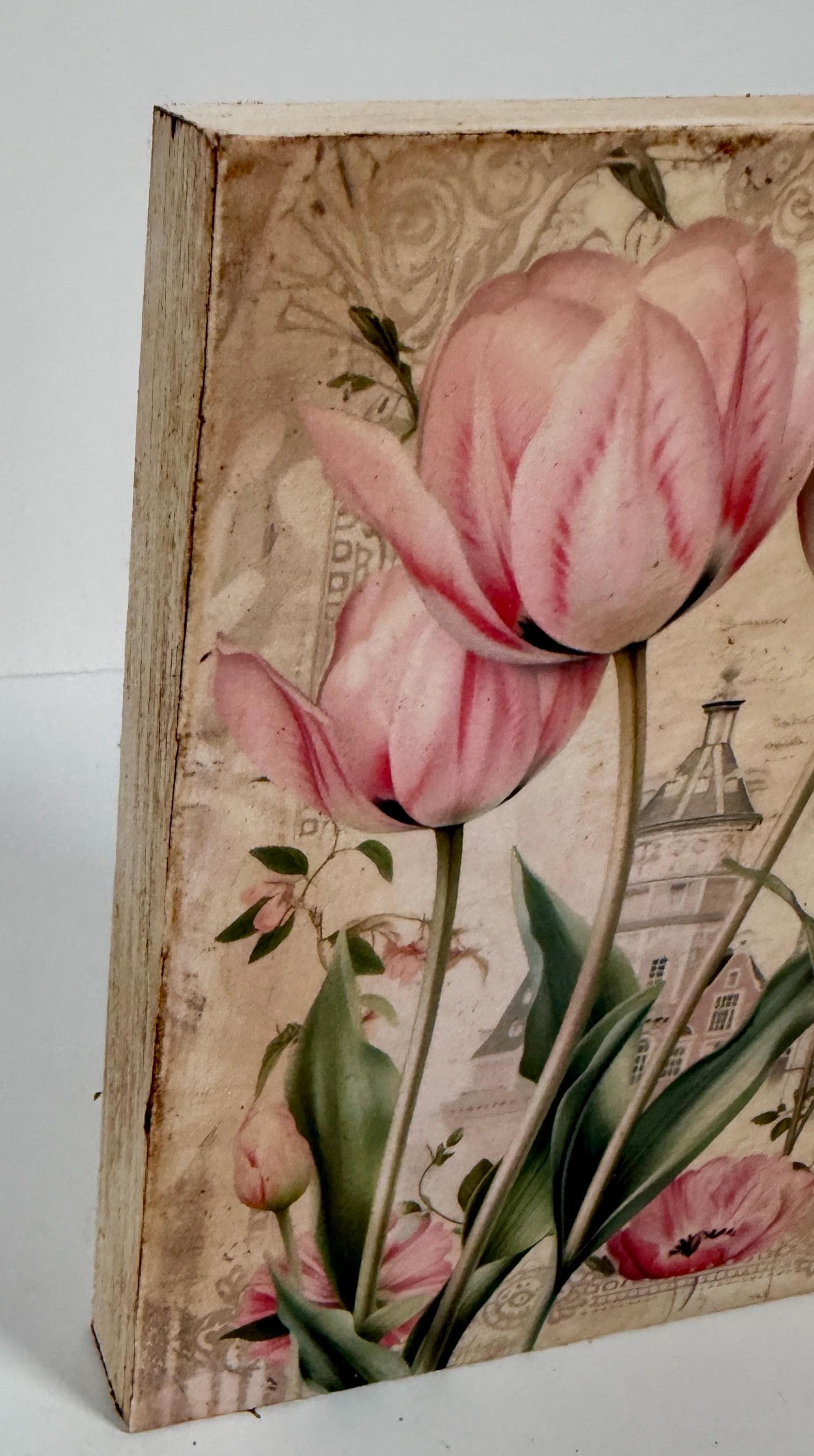 Pink Tulips: 5"x7"