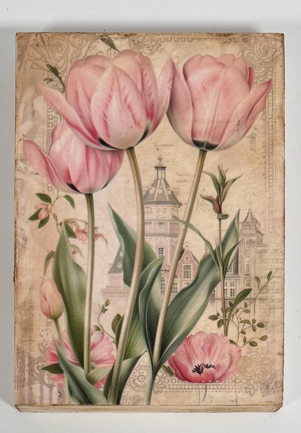 Pink Tulips: 5"x7"