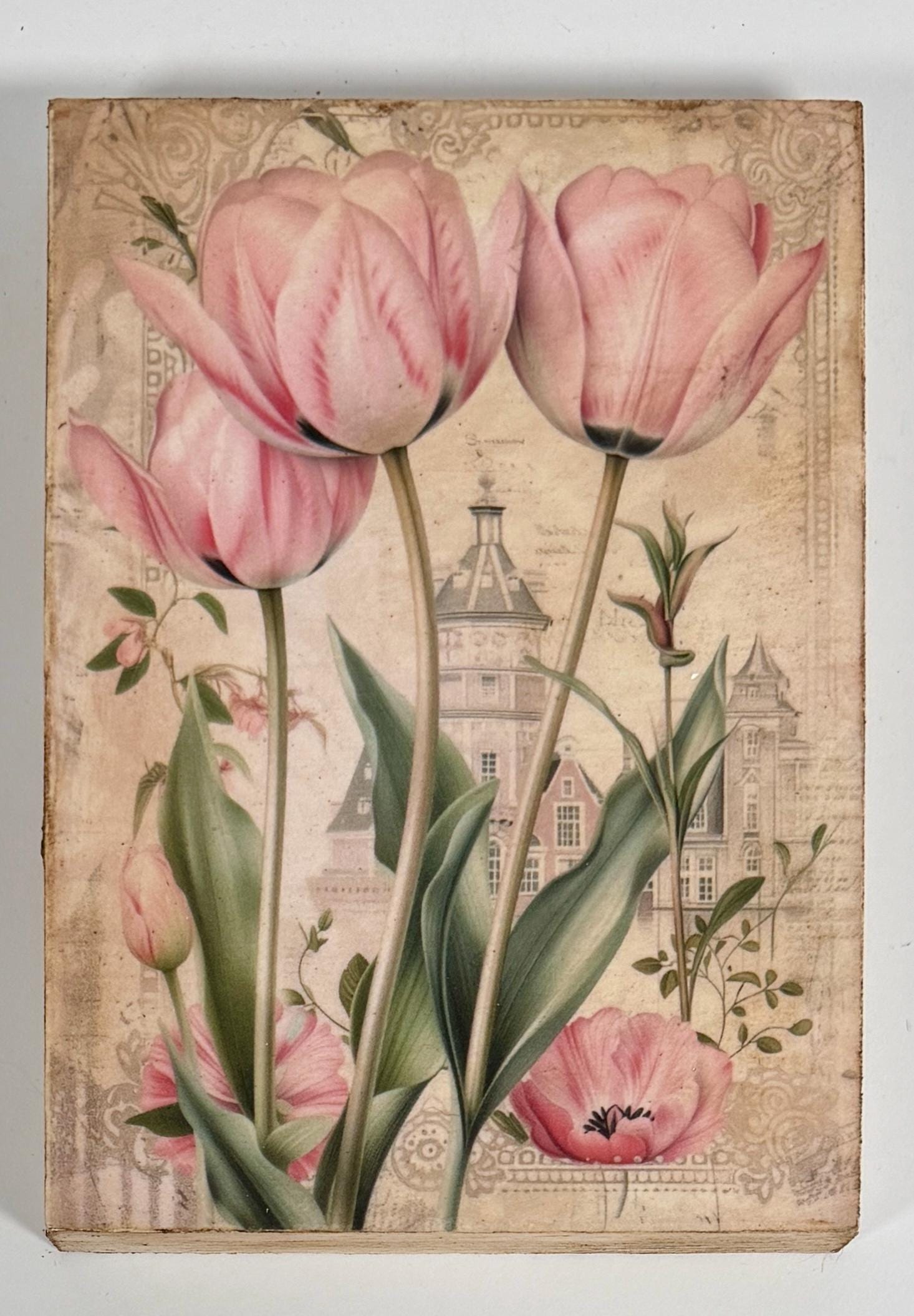 Pink Tulips: 5"x7"