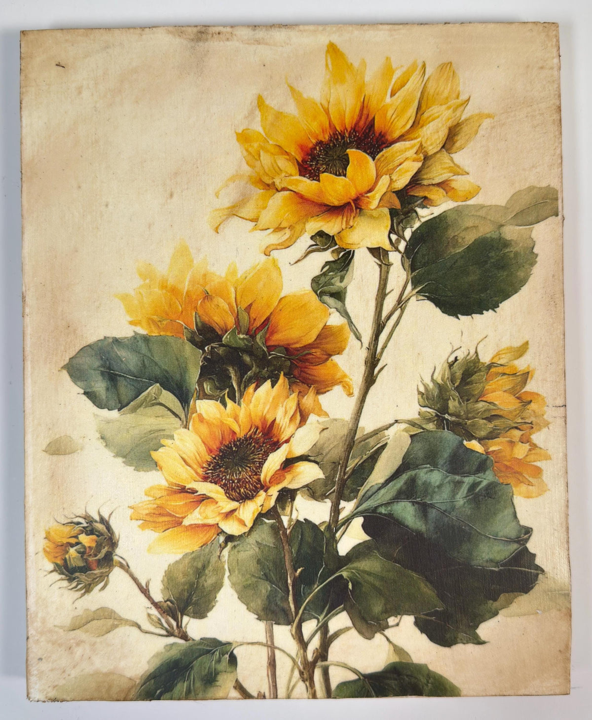 Sunflower Shelf Sitter, Vintage Wood Plaque, 8X10 Inch Decor Art by Mikela Lindel Home