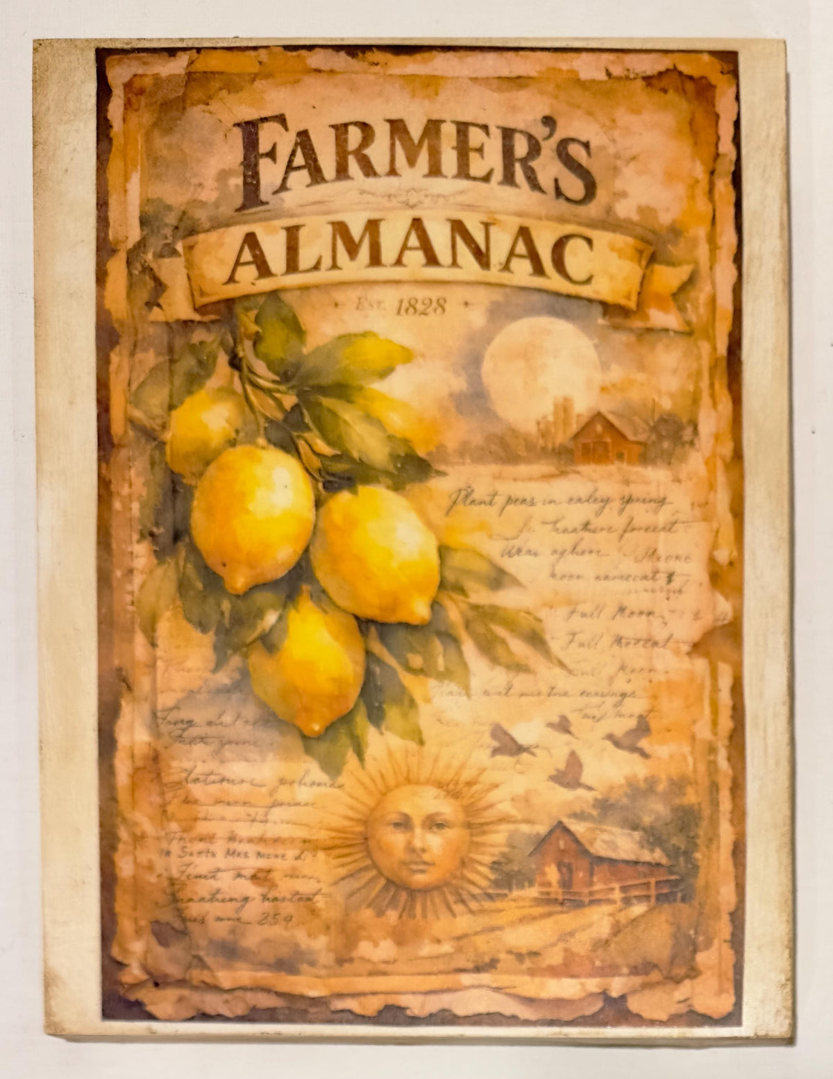 Farmhouse Fruit Wall Art | Strawberry Lemon Panels 6x8 Inch Decor by Mikela Lindel Home