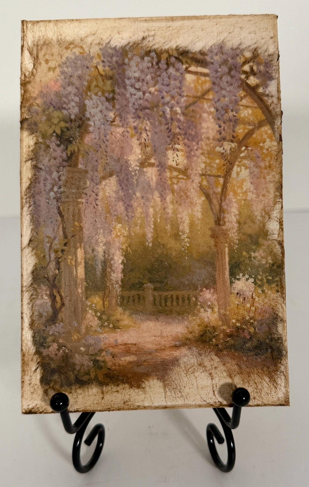 Wisteria Garden: 4"x6"