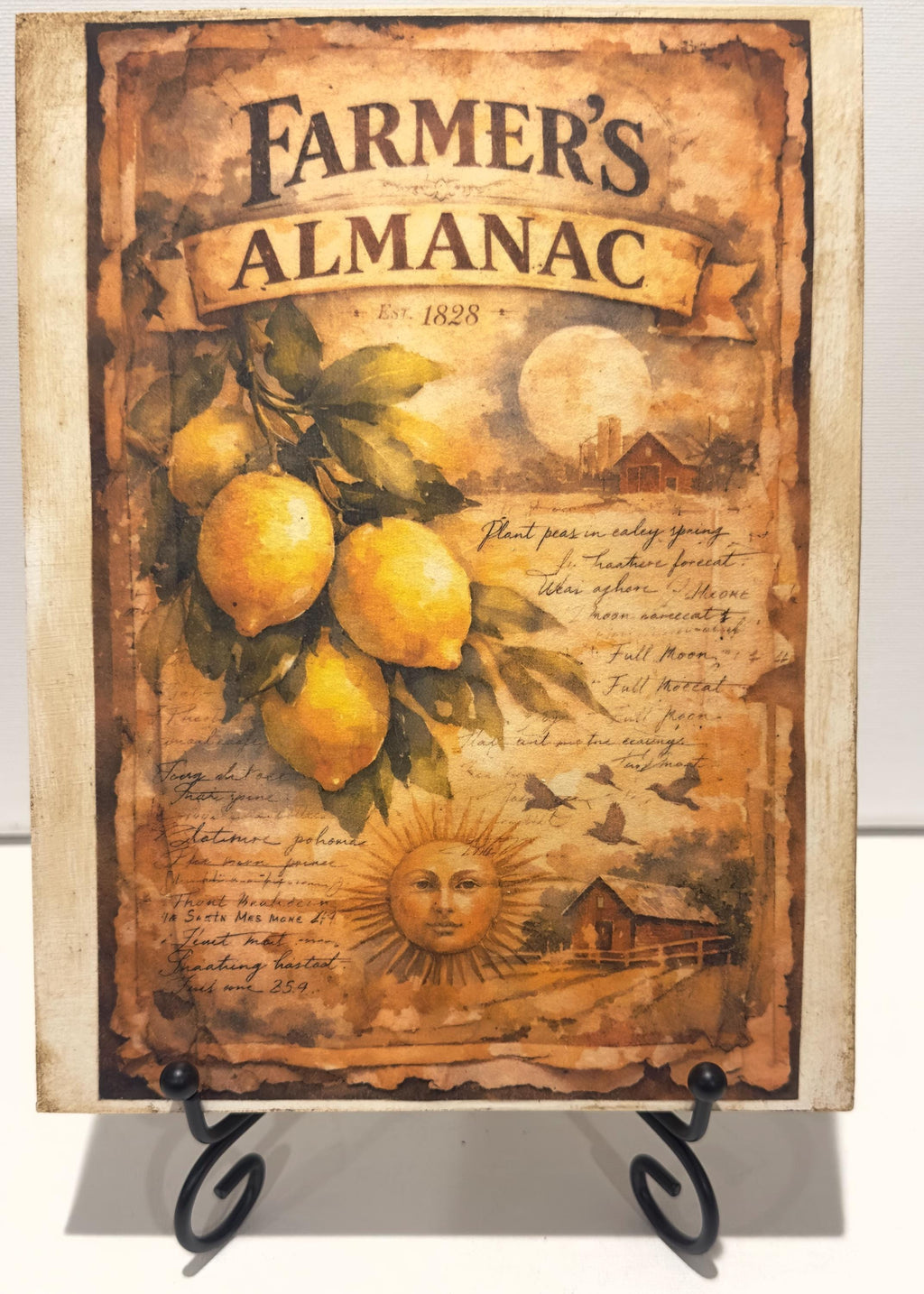 Farmhouse Fruit Wall Art | Strawberry Lemon Panels 6x8 Inch Decor by Mikela Lindel Home