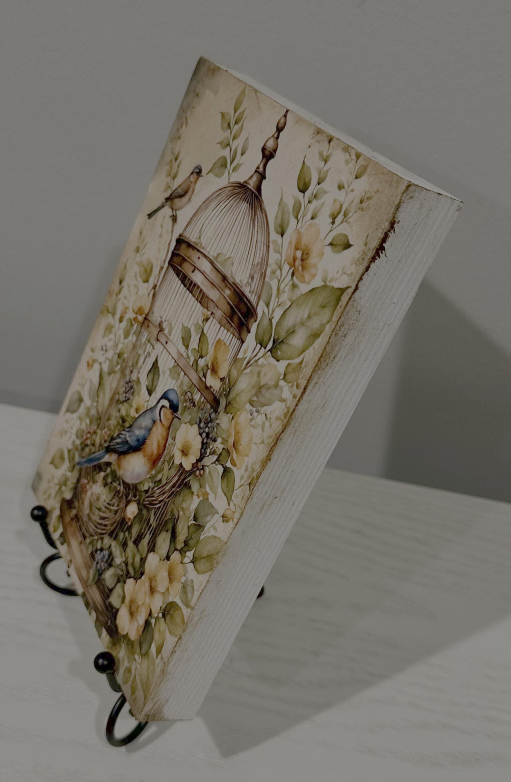 Birdcage & Bluebirds: 5"x7"