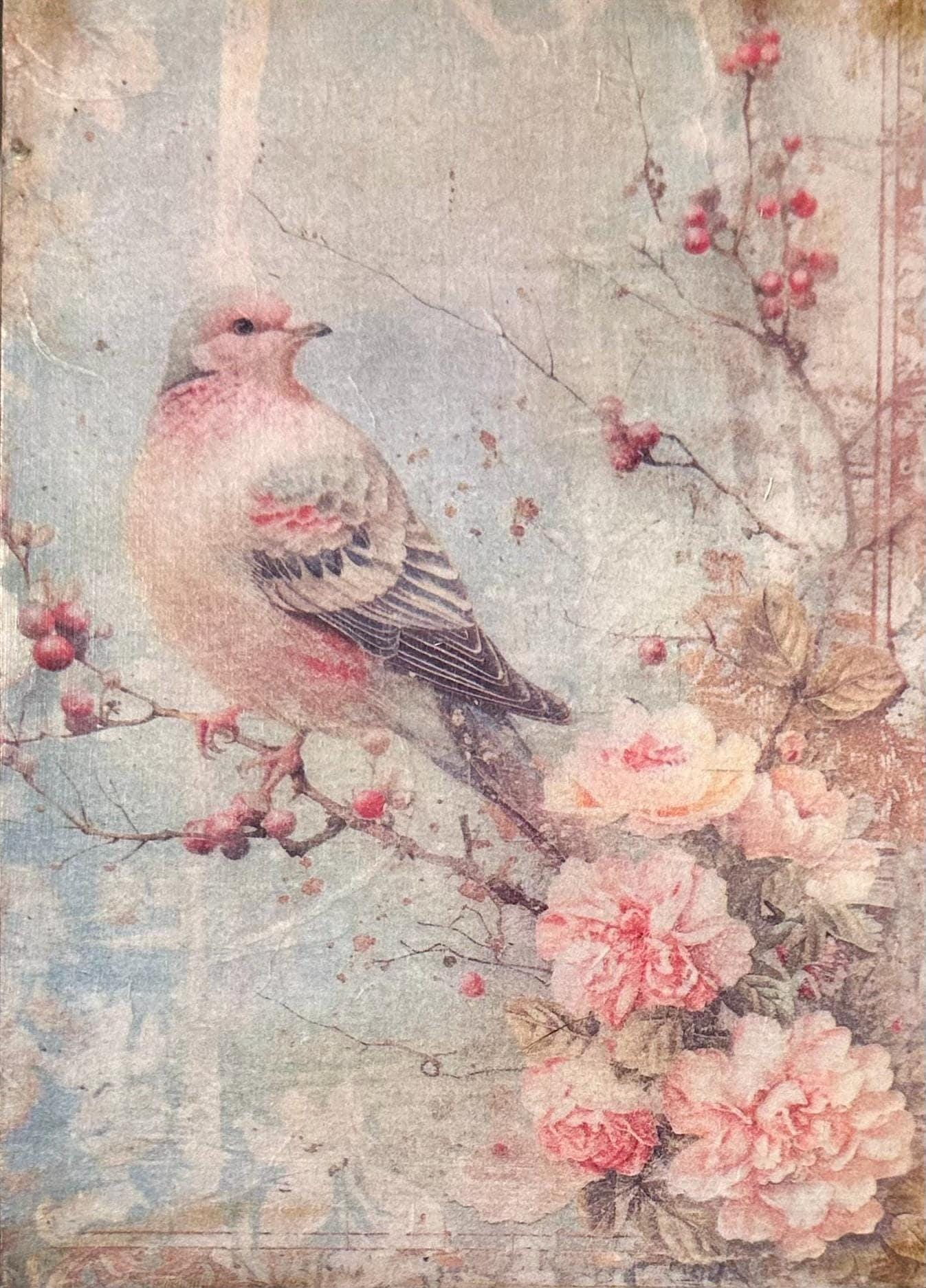 Songbird & Roses: 5"x7"