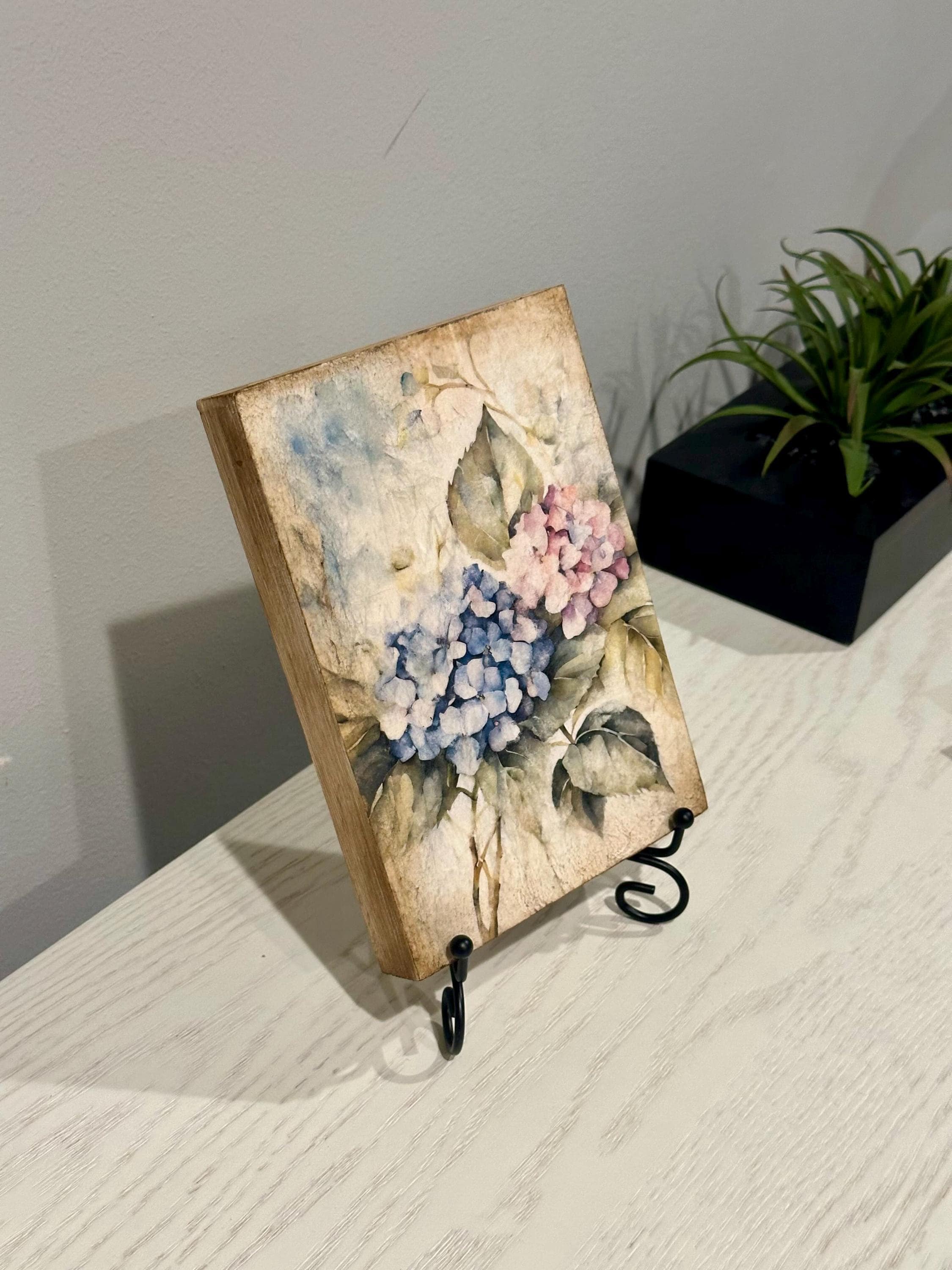 Hydrangea: 5"x7"