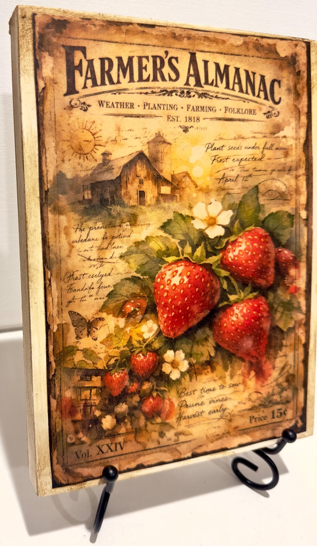 Farmhouse Fruit Wall Art | Strawberry Lemon Panels 6x8 Inch Decor by Mikela Lindel Home