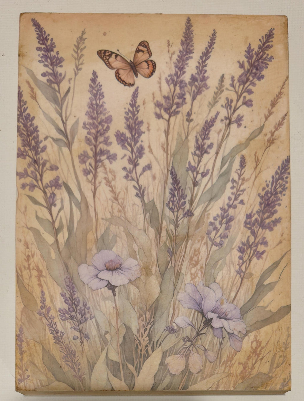 Lavender and Butterfly: 5"x7"