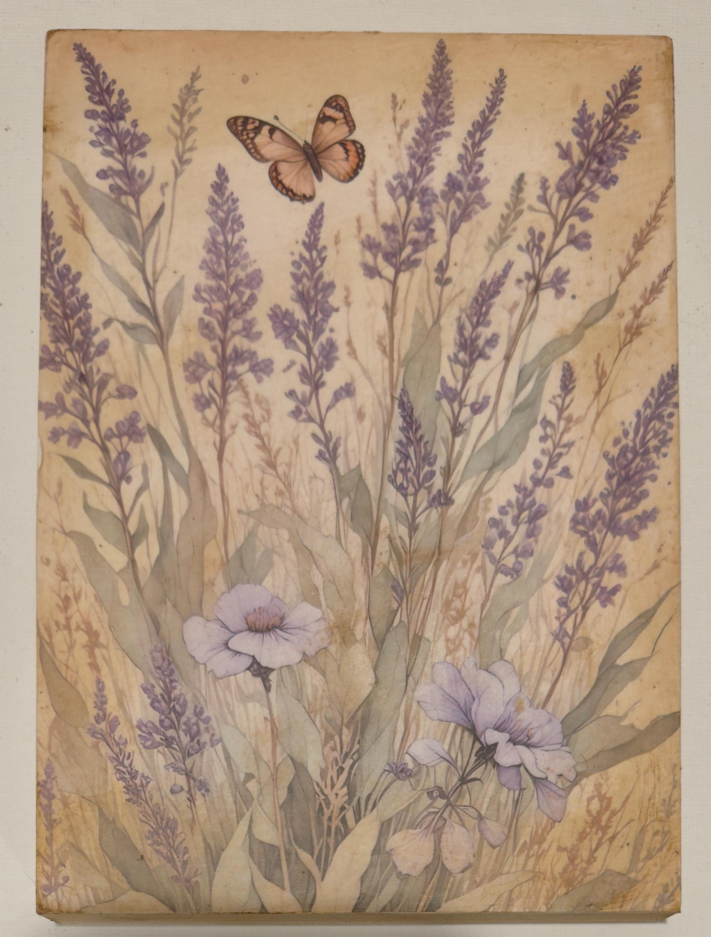 Lavender and Butterfly: 5"x7"